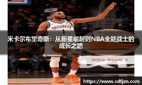 QY球友会体育官网